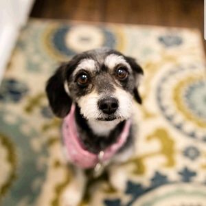 Meet your Posher, Kristen